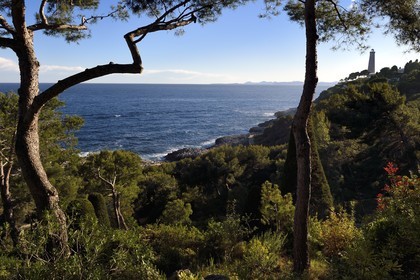 France, Alpes Maritimes (06), Saint-Jean-Cap-Ferrat, le phare du Cap-Ferrat depuis les jardins du Grand-Hotel du Cap-Ferrat, palace 5 étoiles du groupe Four Seasons Hotel