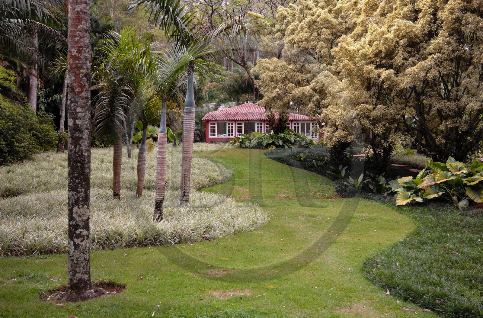 Brésil, Etat du Minas Gerais, région de Belo Horizonte, Brumadinho, centre d'art contemporain Inhotim