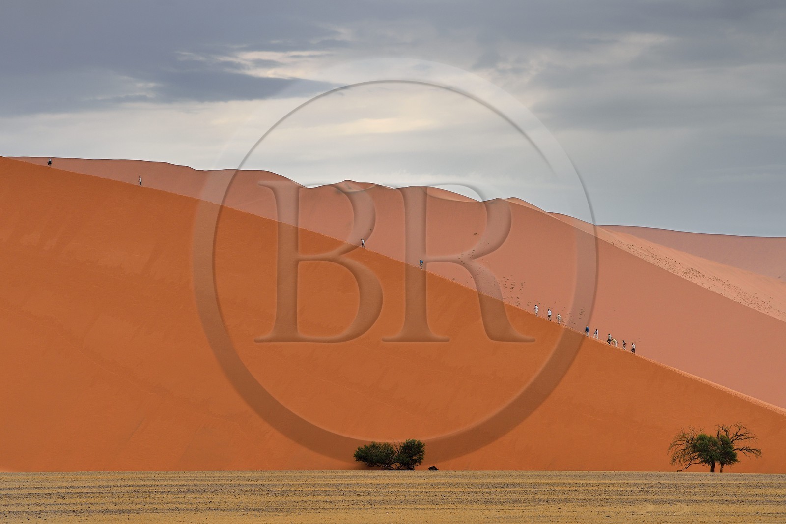 Namibia, Hardap region, Namib desert, Namib-Naukluft national park, Namib Sand Sea listed as World Heritage by UNESCO, Sossusvlei dunes, hikers on the dune 45
