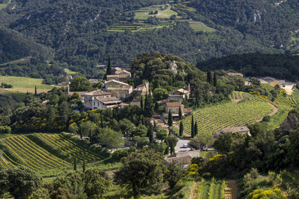 France, Vaucluse (84), Dentelles de Montmirail, le village de Suzette entouré par le vignoble