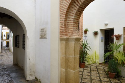 Spain, Andalusia, Cordoba, historical center listed as World Heritage by UNESCO, Juderia district, entrance of the current mosque of Cordoba