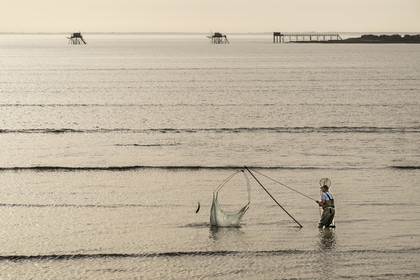 France, Charente Maritime, Port-des-Barques, hand net fisherman trying to catch a mullet (fish) and huts on stilts called carrelets in the background