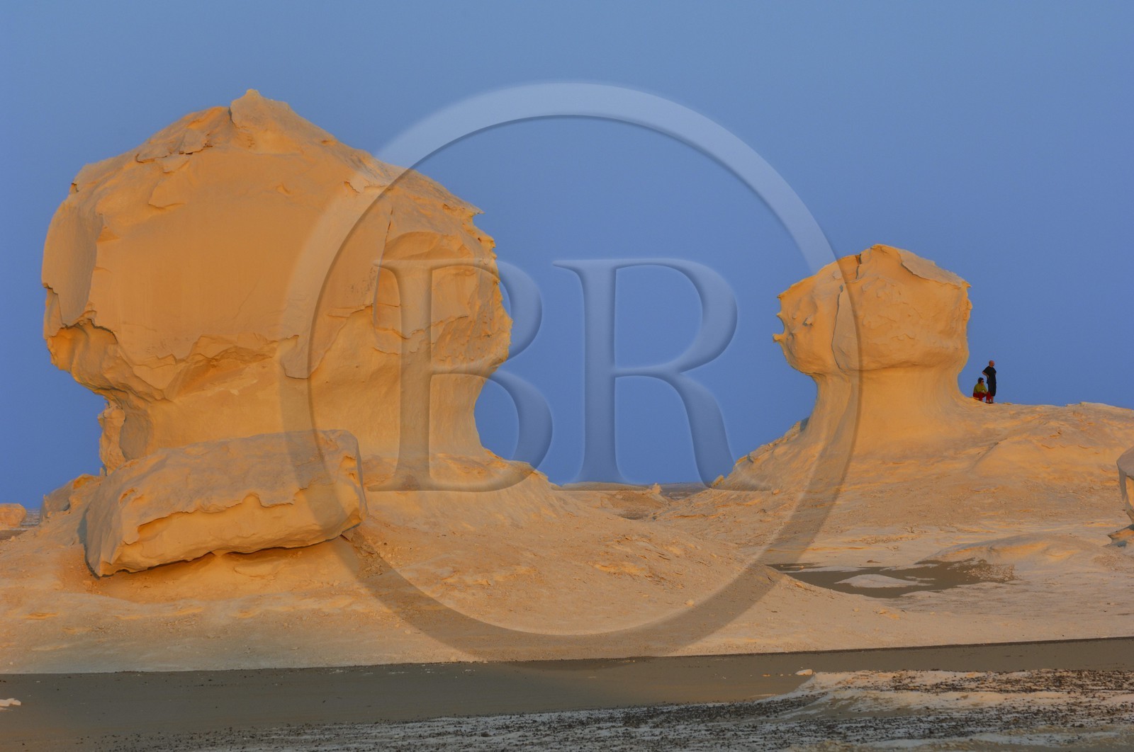 Egypte, désert libyque, le Désert Blanc au nord de Farafra