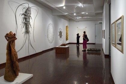 South Africa, Gauteng Province, Johannesburg, the Standard Bank Gallery, In the Weave, an exhibition of works by Walter Oltmann, one of South Africa’s best known artists