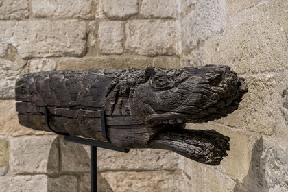 France, Vaucluse (84), Avignon, Palais des Papes classé Patrimoine mondial de l'UNESCO, Tarasque, bois sculpté à l'extrémité d'une poutre d'angle de toiture (XVème siècle)