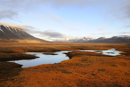 Norvège, Svalbard (Spitzberg), toundra dans la région de Longyearbyen