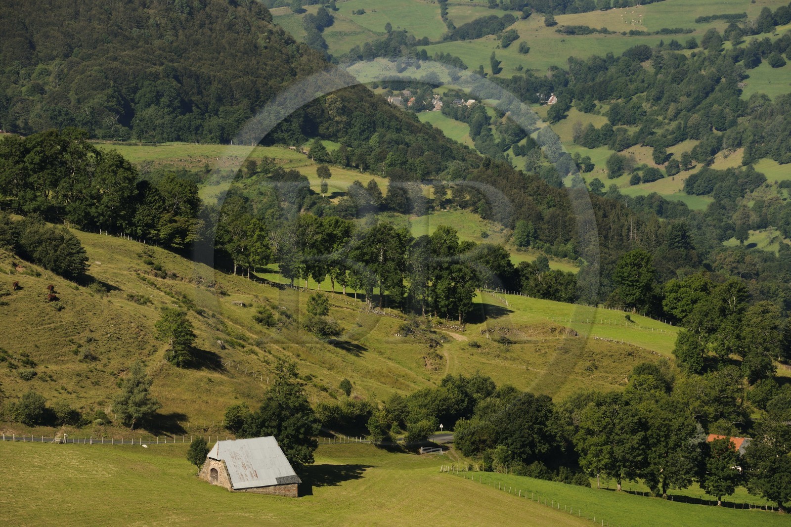 France, Cantal, Monts du Cantal, Parc Naturel Regional des Volcans d' Auvergne (Regional Nature Park of the Volcanoes of Auvergne), a buron close in the Vallee de la Jordanne (Jordanne Valley) towards Mandaille-Saint-Julien
