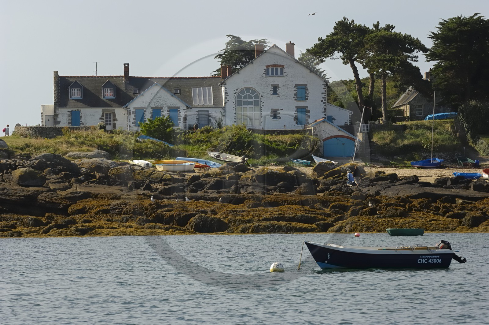 France, Manche (50), archipel des îles Chausey, Grande Ile, maison du peintre de la marine Marin Marie