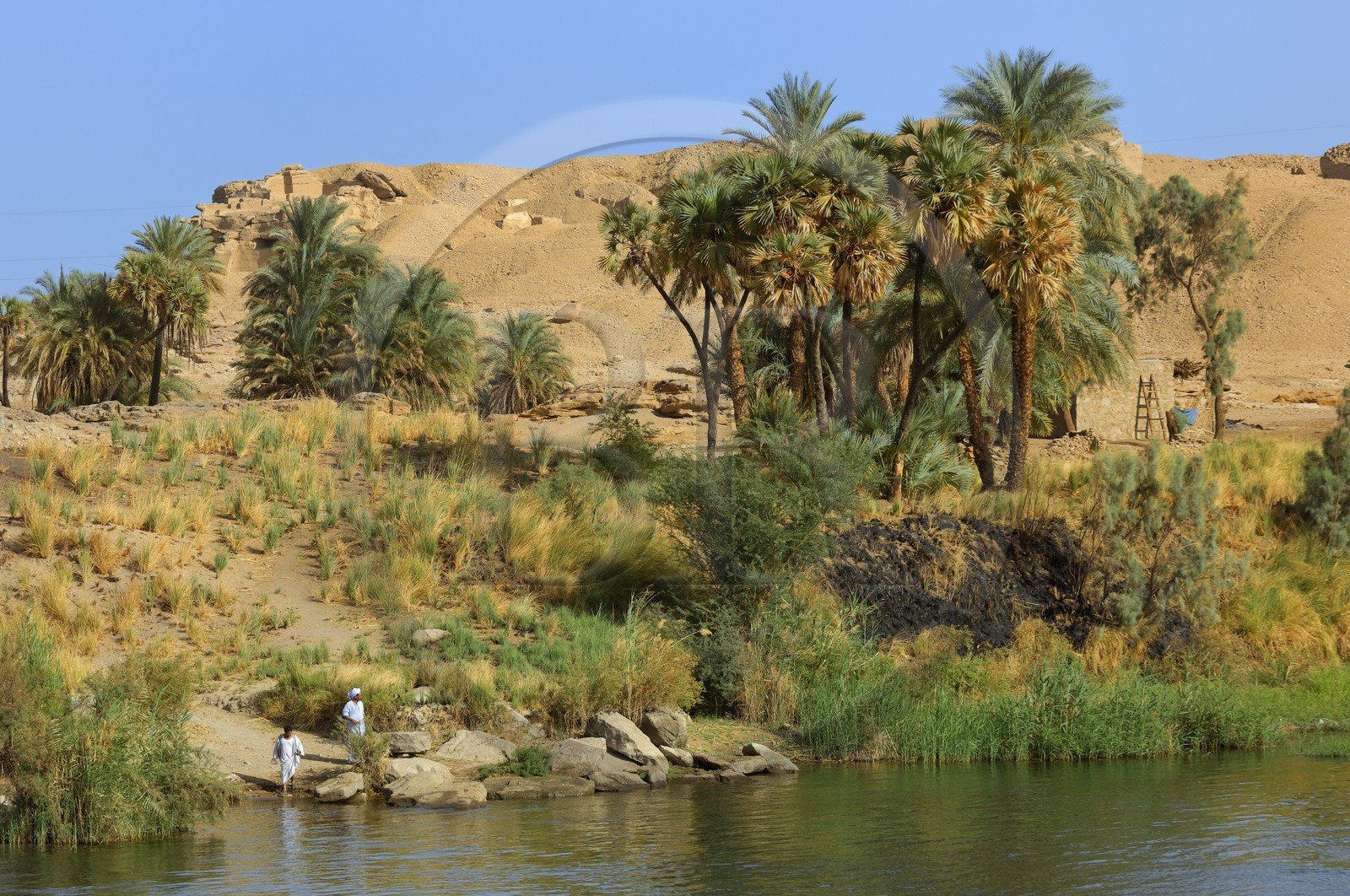 Egypte, Haute Egypte, vallée du Nil, le Nil entre Edfou et Kom Ombo