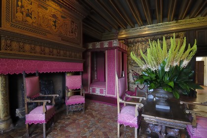 France, Indre et Loire, Chateau de Chenonceau of Renaissance style built between 1513 and 1522, Cesar of Vendome's bedroom