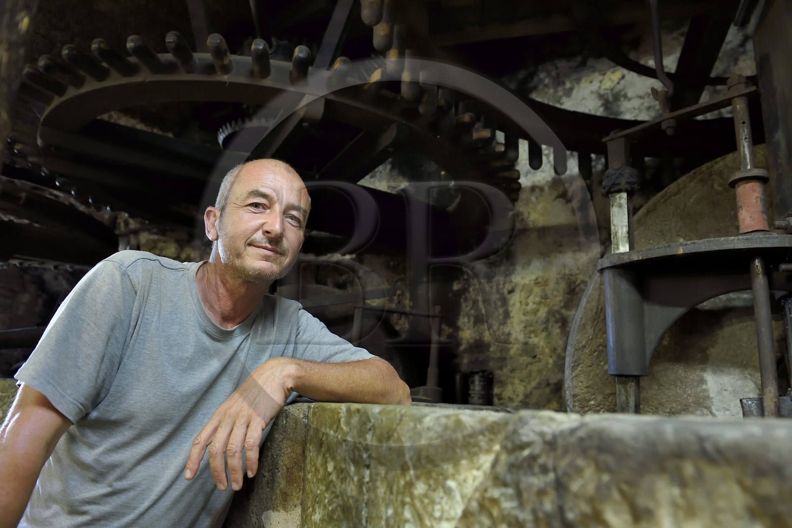 France, Var (83), Flayosc, le Moulin du Flayosquet, le producteur d'huile d'olive Max Doleatto