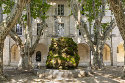 France, Vaucluse, Avignon, Saint-Louis Jesuit novitiate, the cloister, today hosts a hotel and the Avignon Higher Institute of Performing Arts as well as exhibitions