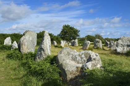 France, Morbihan (56), Erdeven, alignement mégalithique de Kerzérho