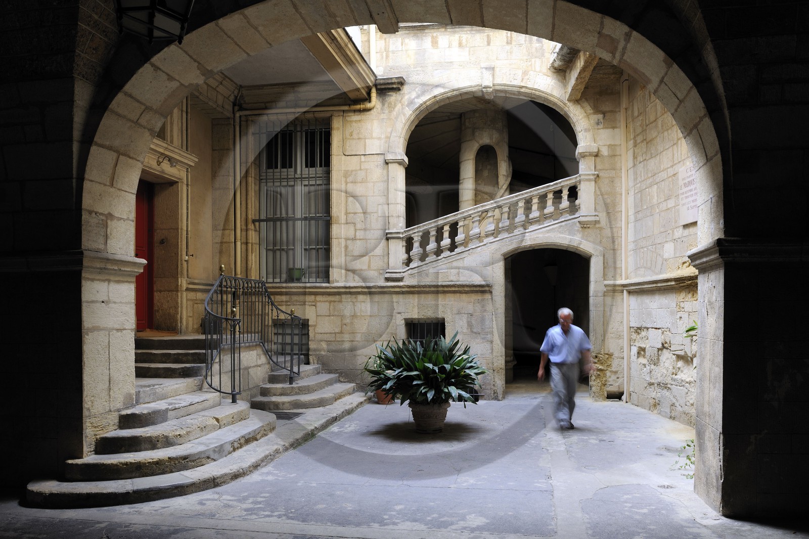 France, Herault, Montpellier, historical center, the Ecusson, Montcalm Mansion, spiral staircase