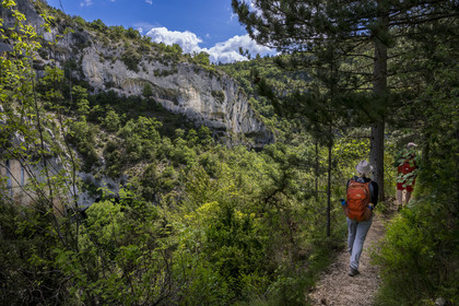 France, Vaucluse, Mont Ventoux Regional Natural Park, Monieux, Gorges de La Nesque, hikers progressing on a path on the heights facing the rocky bars