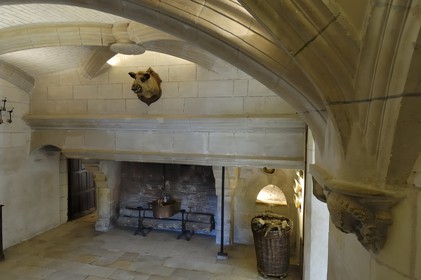 France, Indre-et-Loire (37), château de Chenonceau, les cuisines