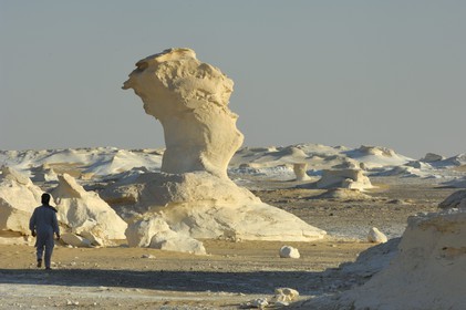 Egypte, désert libyque, le Désert Blanc au nord de Farafra