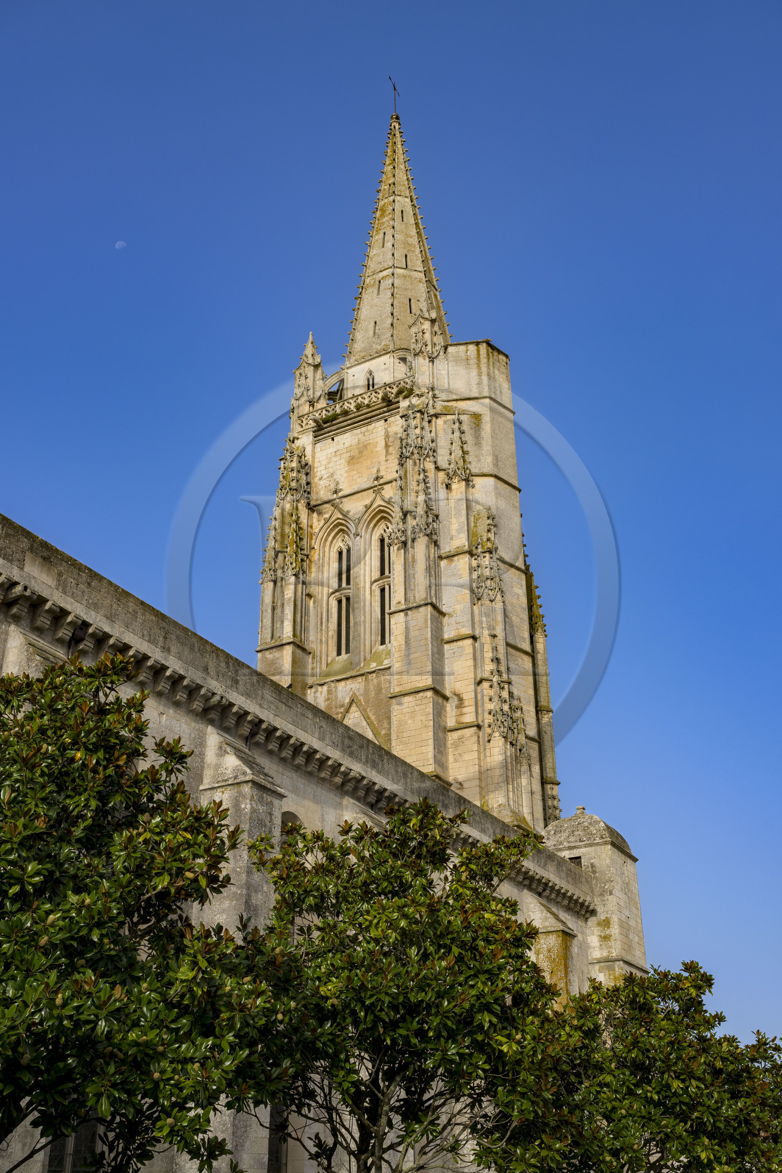 France, Charente-Maritime (17), Saintonge, Marennes-Hiers-Brouage, l'église Saint-Pierre-de-Sales dans le centre ville de Marennes
