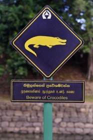 Sri Lanka, province centrale, district de Matale, Sigiriya, ville ancienne de Sigiriya classée patrimoine mondial de l'UNESCO, l'ancien palais forteresse du Rocher du Lion, panneau indicateur mettant en garde sur la présence de crocodiles