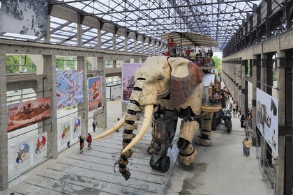 France, Loire-Atlantique (44), Nantes, l'Ile de Nantes, les hangars des anciens chantiers navals, les Machines de l'Ile, l'éléphant, automate