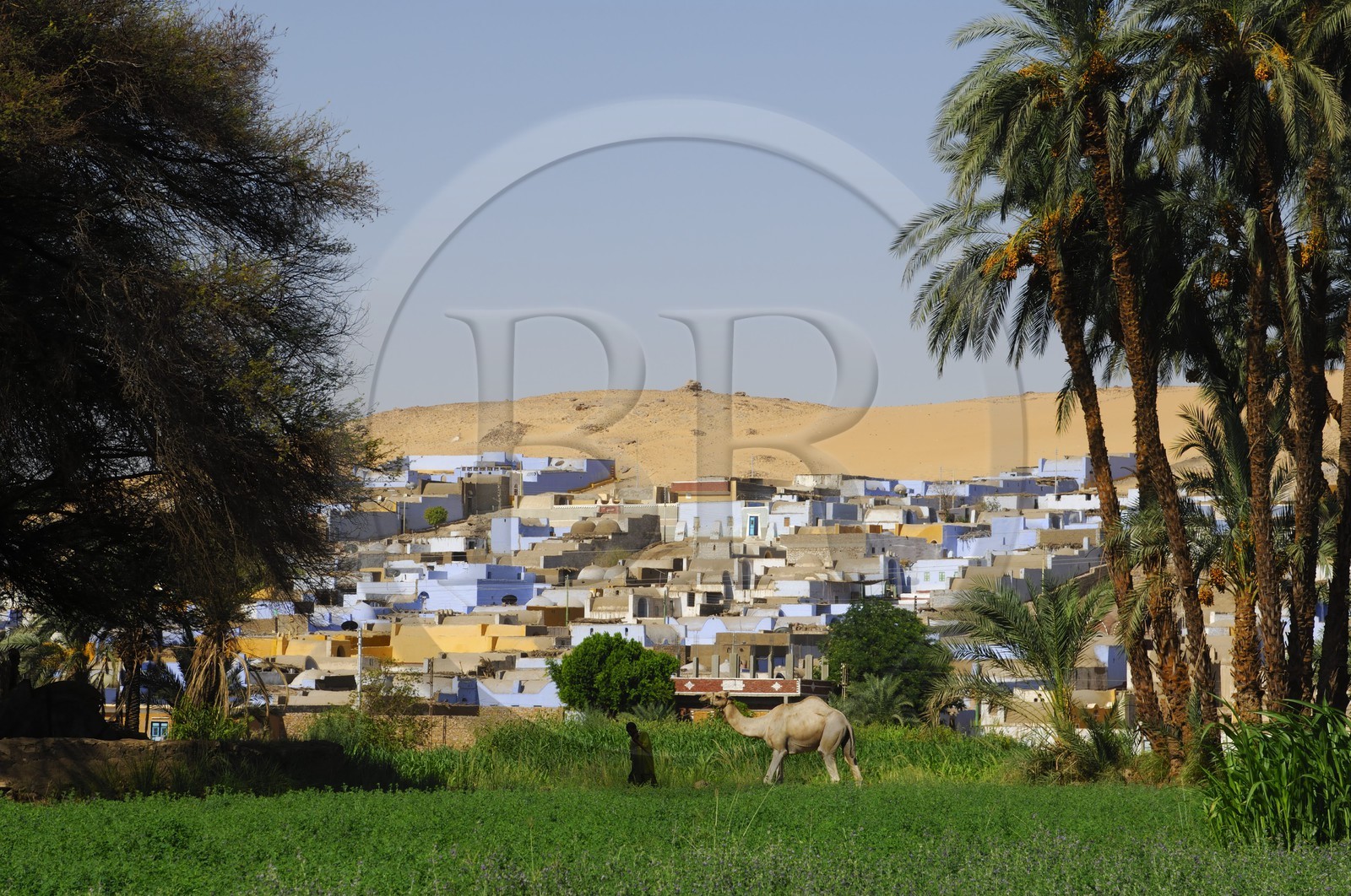 Egypte, Haute Egypte, Nubie, vallée du Nil, Assouan, la rive ouest, village nubien à l'orée du désert