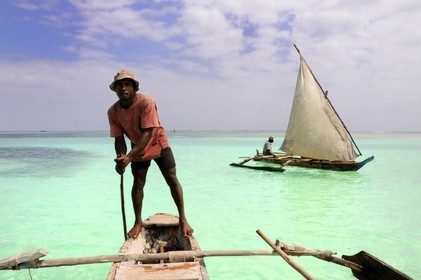 Tanzanie, archipel de Zanzibar, île de Unguja (Zanzibar), côte Sud-Est, Bwejuu, pêcheurs sur des dhow (boutre traditionnel)