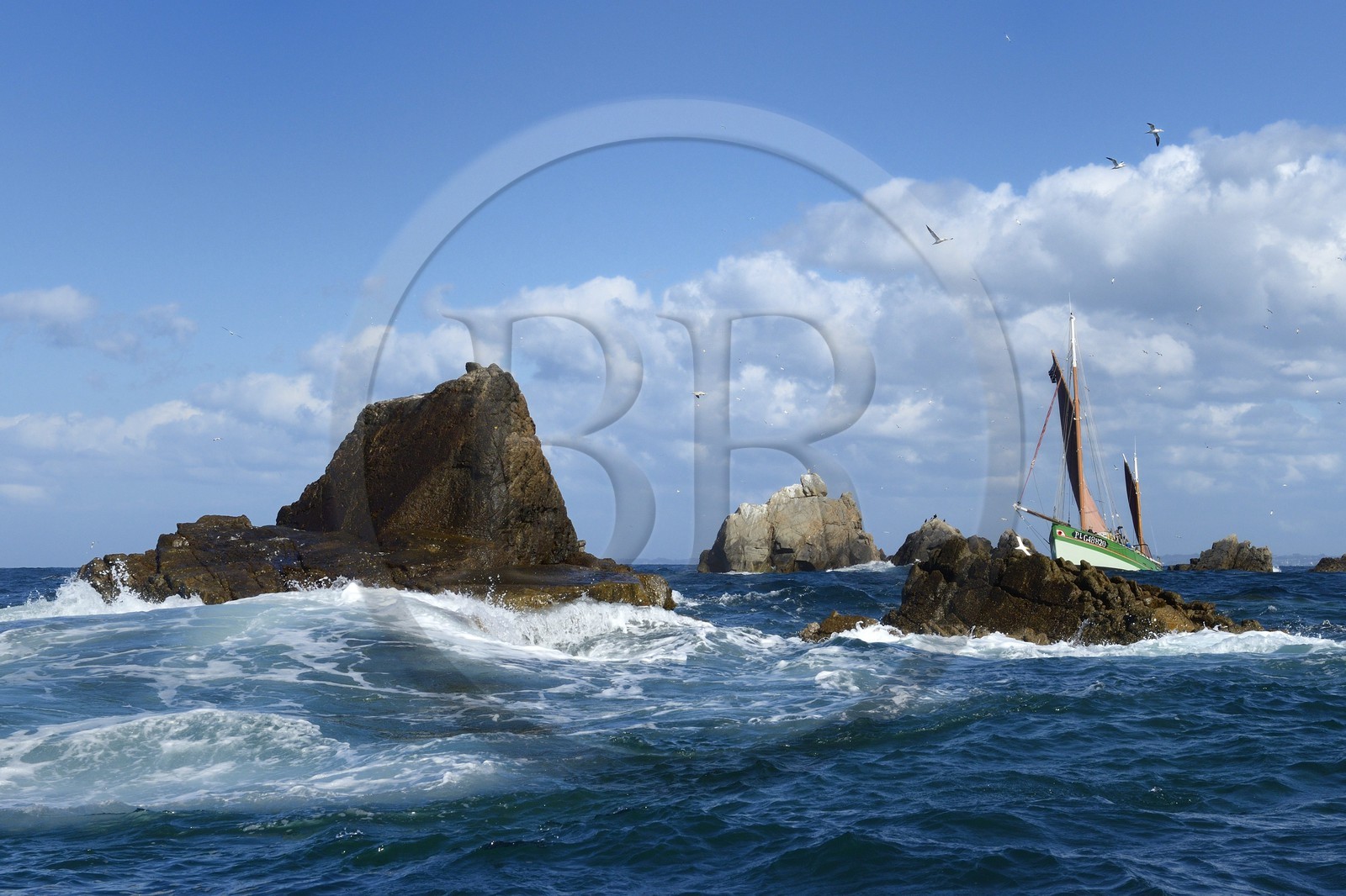 France, Côtes-d'Armor (22), Perros-Guirec, archipel et réserve ornithologique de Sept-Iles, Ile Rouzic, le voilier traditionnel Sant C'hireg (Saint Guirec)
