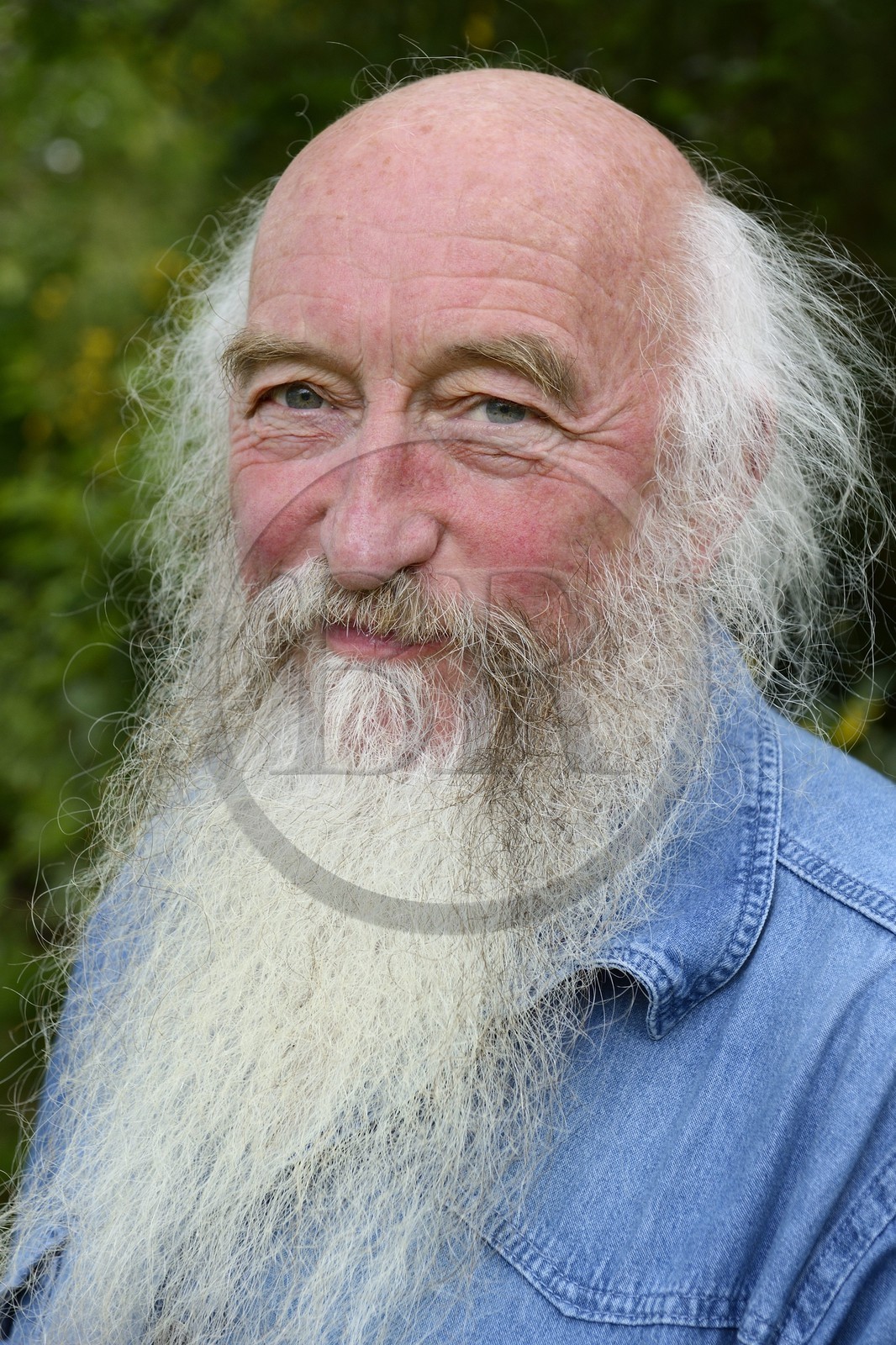 France, Finistère (29), parc naturel régional d'Armorique, Monts d'Arrée, le chanteur et conteur Patrik Ewen