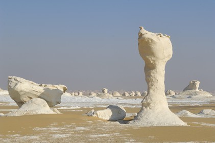 Egypte, désert libyque, le Désert Blanc au nord de Farafra