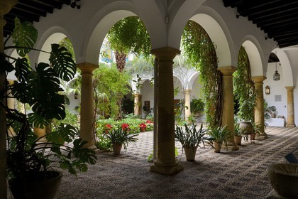 Espagne, Andalousie, Cordoue, Palais de Viana, patio d'accueil