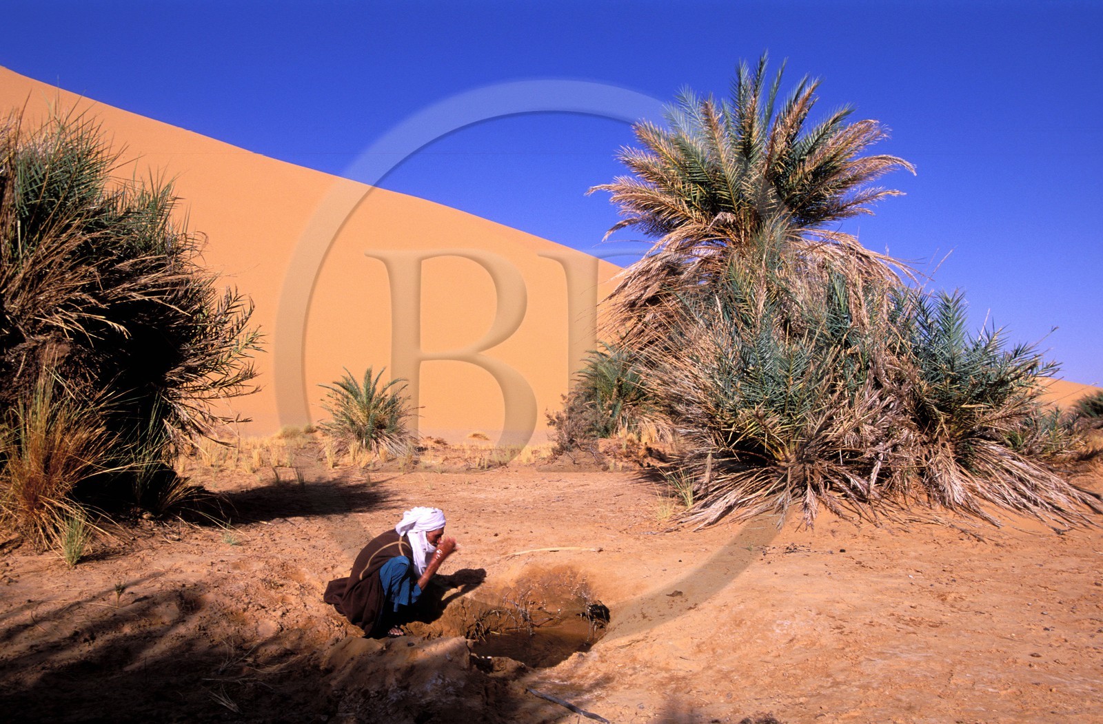 Libye, région du désert, Le Fezzan (Sahara), Touareg au bord d'un puit de la petite oasis de Takioumet