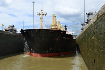 Panama, Canal de Panama, écluses de Pedro Miguel, mules mécaniques ou locomotives électriques guidant un cargo Panamax entre les murs de l'écluse