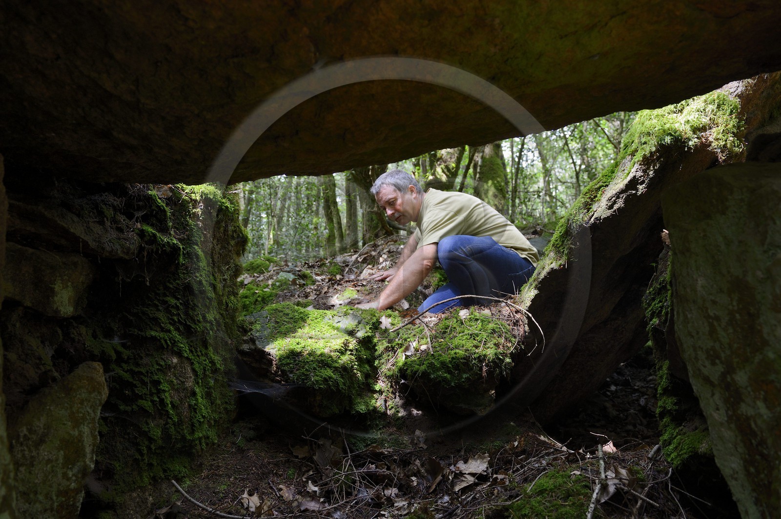 France, Morbihan, Tredion, Coeby forest, dolmen megalithic site discovered by archaeologist Philippe Gouezin still in its raw state