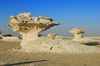Egypte, désert libyque, le Désert Blanc au nord de Farafra
