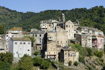 France, Haute-Corse (2B), région de la Casinca en Castagniccia, village peché de Vescovato