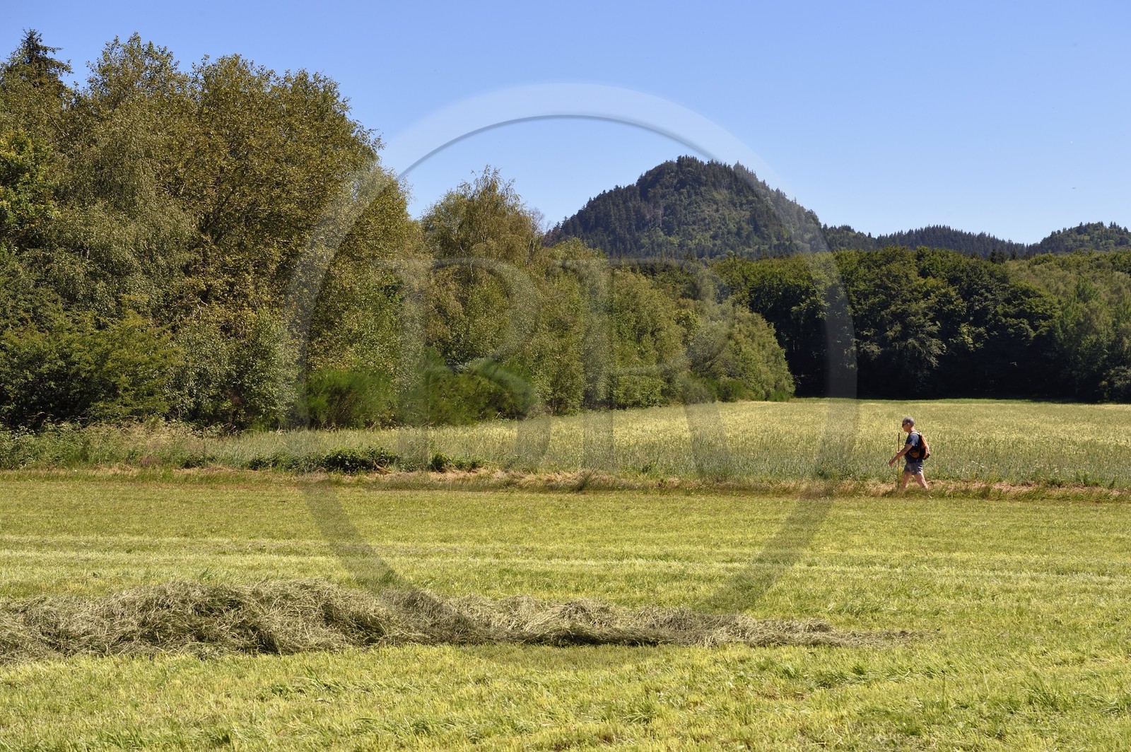France, Puy de Dome, Saint-Ours-les-Roches, hamlet of Beauregard, Parc Naturel Régional des Volcans d'Auvergne (regional nature park of Auvergne volcanoes), in the background the volcano Le Puy Chopine