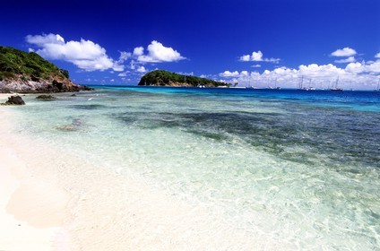 Caraïbes, Saint-Vincent et les Grenadines, archipel des Tobago Cays, plage d'une petite île inhabitée