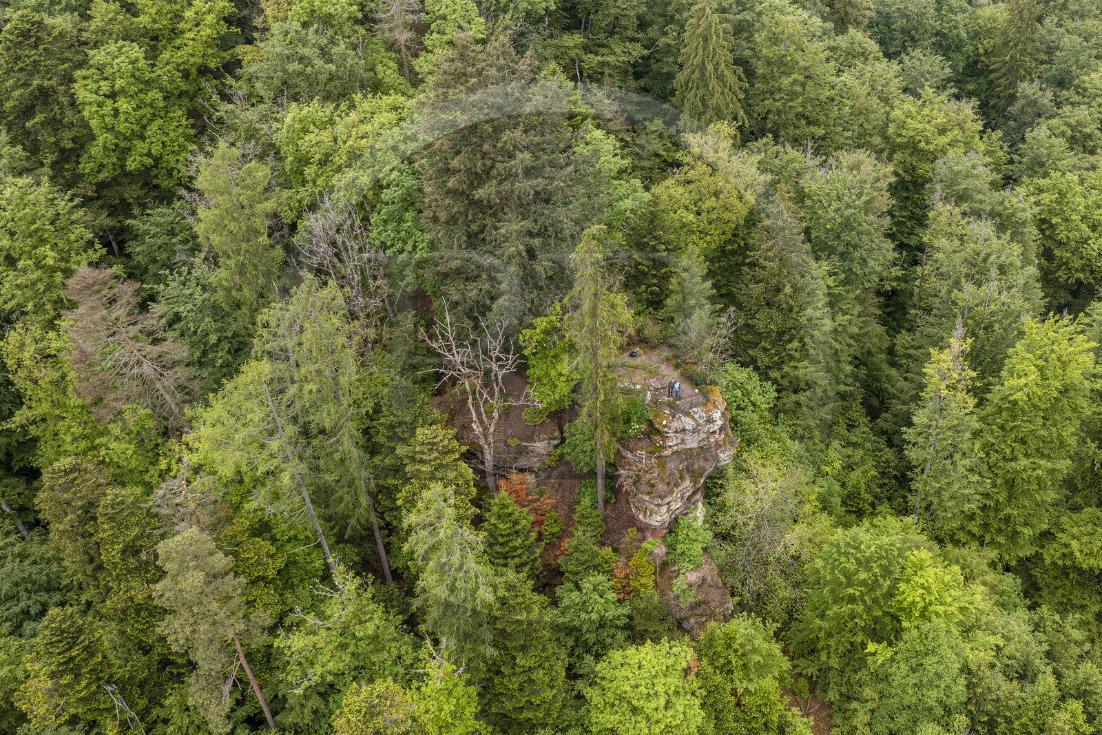 France, Bas-Rhin, Parc regional des Vosges du nord (Northern Vosges Regional Natural Park), La Petite Pierre, the Rocher Blanc (White Rock), pink sandstone rock to which the clear lichen give its name, of the Trois Roches trail (aerial view)