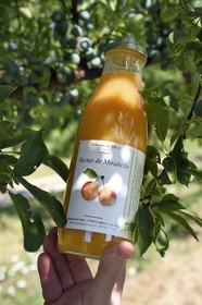 France, Meuse (55), Parc régional de Lorraine, Cotes de Meuse, Combres-sous-les-cotes, Domaine de Muzy, bouteille de nectar de mirabelle