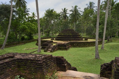 Sri Lanka, Central Province, Padeniya District, 12th century ruins of the Paduwasnuwara temporary capital, dagoba in the monks district