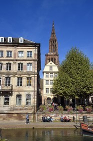 France, Bas-Rhin (67), Strasbourg, vieille ville classée Patrimoine Mondial de l'UNESCO, les bords de l'ill et la cathédrale