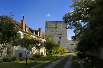 France, Indre et Loire, Loches, the donjon from the feudal fortress