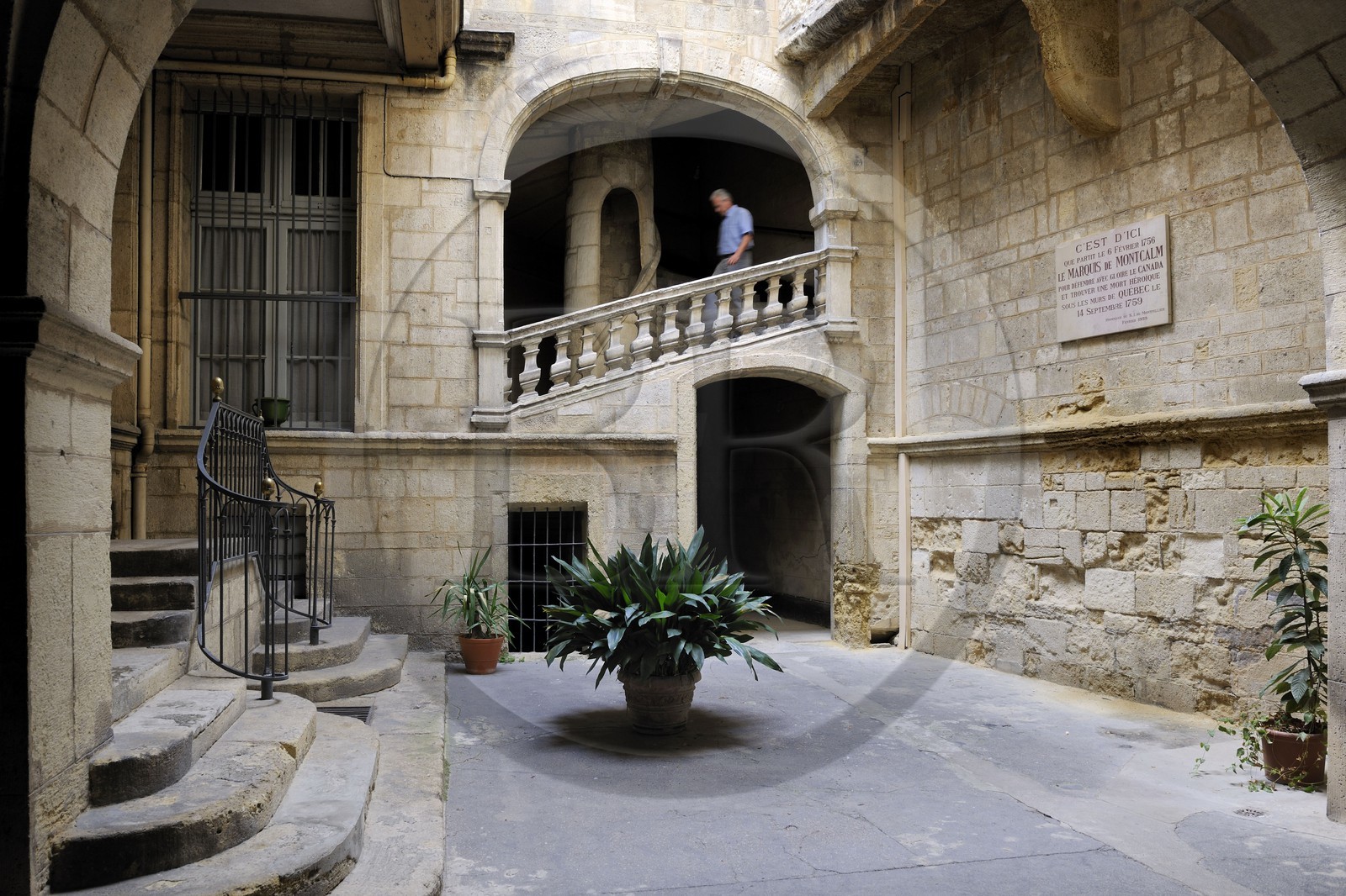 France, Hérault (34), Montpellier, centre historique, l'Ecusson, hôtel particulier Montcalm, escalier à vis évidé