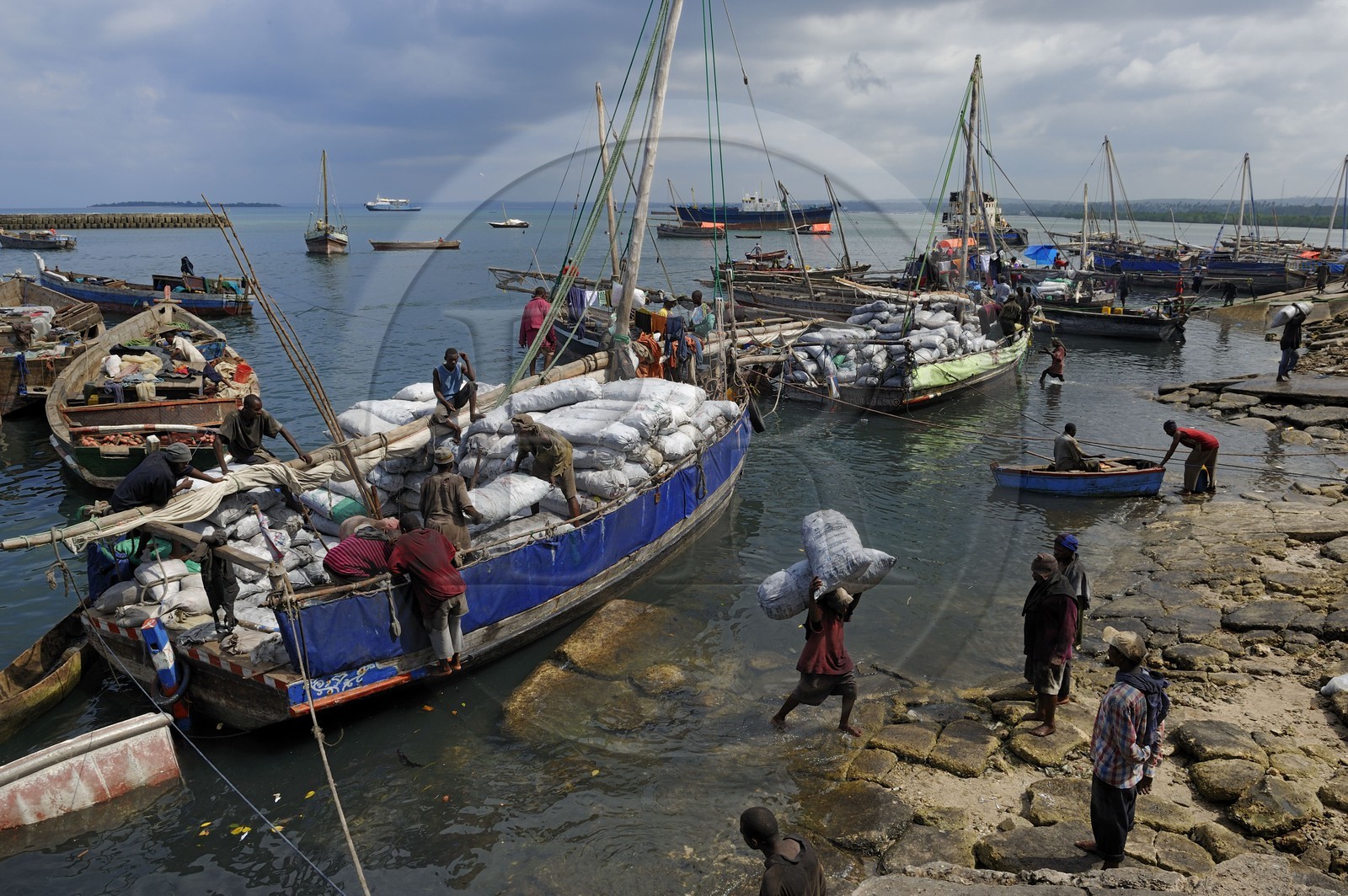Tanzanie, archipel de Zanzibar, île de Unguja (Zanzibar), ville de Zanzibar, quartier Stone Town, classé Patrimoine Mondial de l' UNESCO, port des dhows (boutres traditionnels), déchargement du charbon
