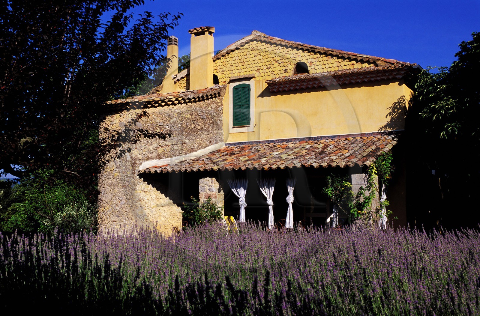 France, Var (83), Provence Verte, village de Bras vers Saint-Maximin-la-Sainte-Baume, la maison d'hôtes Le Peyrourier, une campagne en Provence