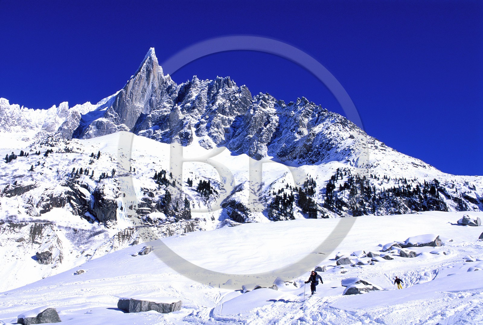 France, Haute Savoie, Chamonix valley, skier on the Mer de glace at the foot of Aiguille verte in Vallee Blanche, Mont Blanc