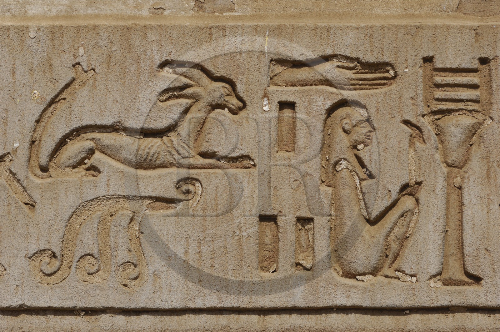 Egypte, Haute Egypte, vallée du Nil, temple de Kom Ombo dédié au dieu Sobek à tête de crocodile, hiéroglyphes