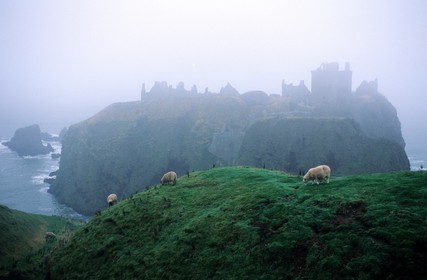 United Kingdom, Scotland, Aberdeenshire, South of Stonehaven, Dunnottar Castle in the mist