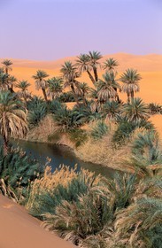 Libye, région du désert, Le Fezzan (Sahara), Erg Ubari, Lac d'Oum El Ma