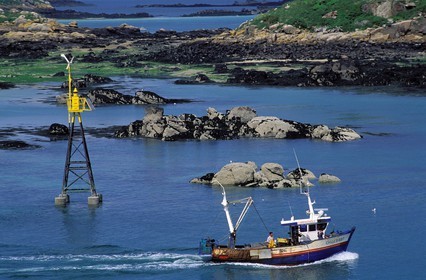 France, Manche (50), îles Chausey